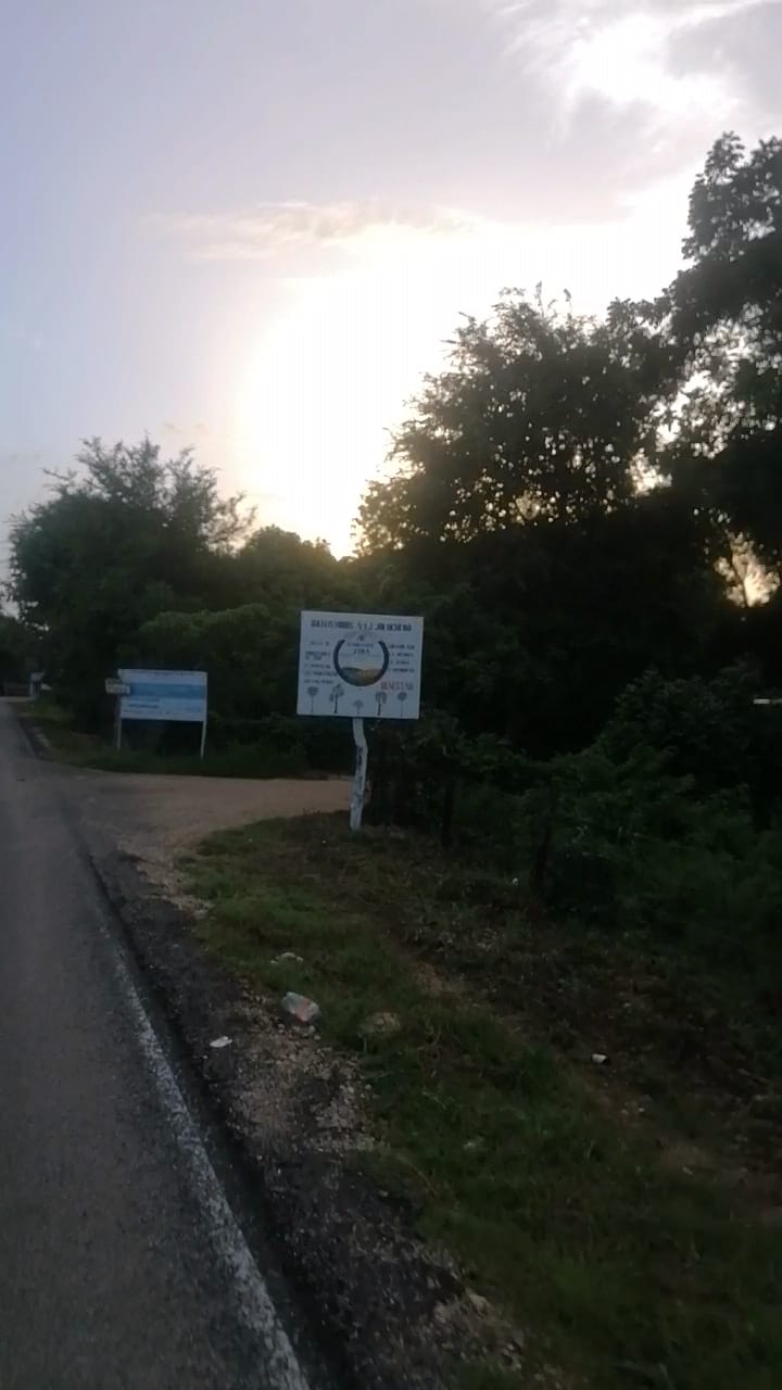 2b74d668-5ca5-46a7-8f60-439dc08f710c