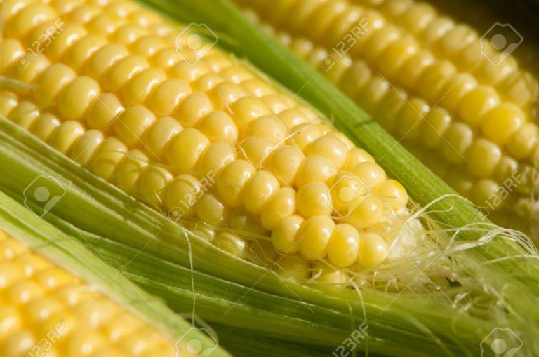 Del fogón tabasqueño al corazón