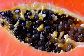 Descubre por qué las semillas de papaya son el secreto mejor guardado para tu salud