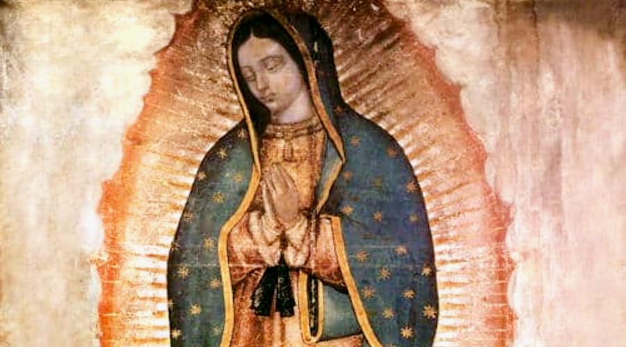 Iglesia Católica alista gran jornada espiritual para el 12 de diciembre en honor a la Virgen de Guadalupe