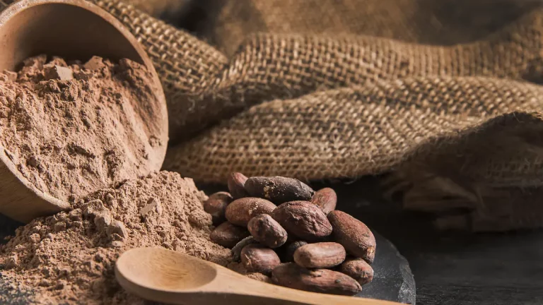 ¡Tabasco brilla a nivel nacional! Compite en “Lo Mejor de México 2026” con dos importantes nominaciones