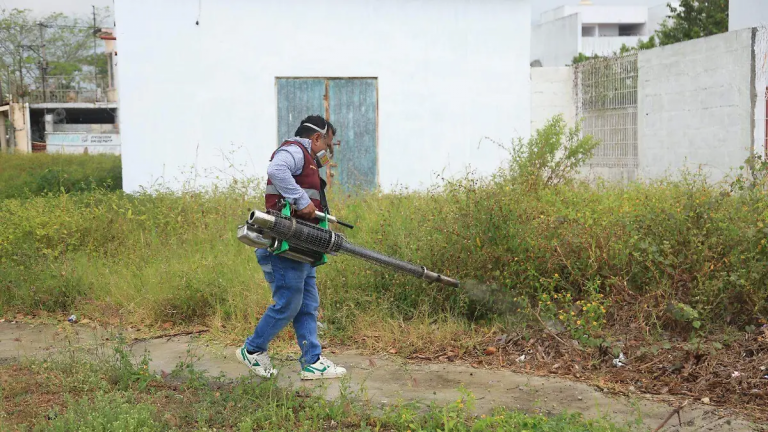Guerra total contra el mosquito, Tabasco intensifica acciones para frenar enfermedades