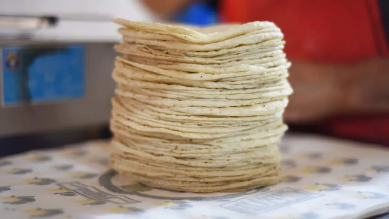 Tortilla bajo vigilancia: Profeco frena abusos y mantiene estable el precio